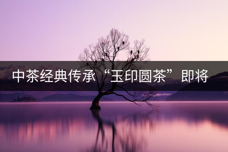 中茶經(jīng)典傳承“玉印圓茶”即將上市