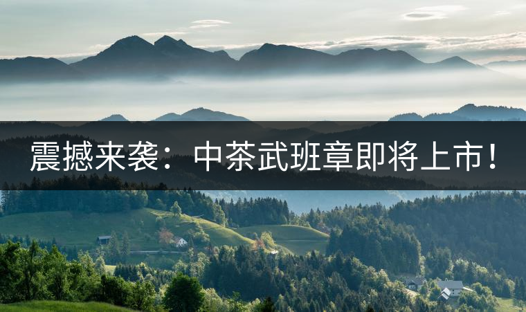 震撼來襲：中茶武班章即將上市！