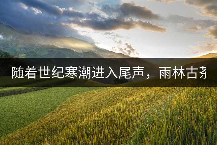 隨著世紀寒潮進入尾聲，雨林古茶坊