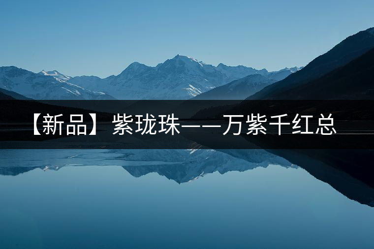 【新品】紫瓏珠——萬(wàn)紫千紅總為秋