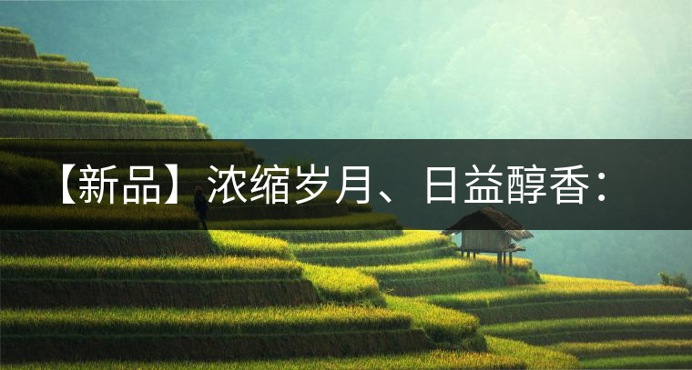 【新品】濃縮歲月、日益醇香：陳臻號陳品熟餅即將上市！