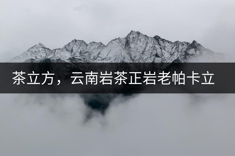 茶立方，云南巖茶正巖老帕卡立方磚今日芳香出爐