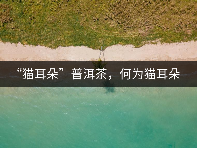 “貓耳朵”普洱茶，何為貓耳朵？