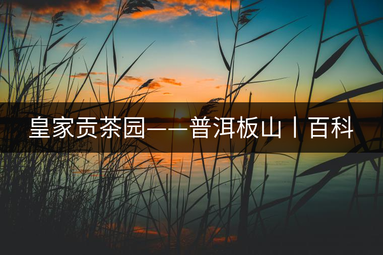 皇家貢茶園——普洱板山丨百科 皇家貢茶園——普洱板山丨百科