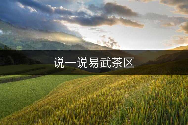 說一說易武茶區(qū)