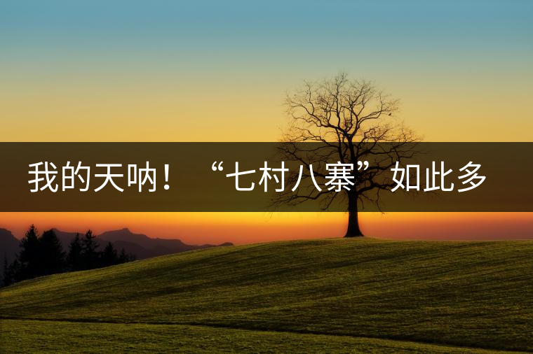 我的天吶！“七村八寨”如此多的易武茶，品質(zhì)特色如何分辨？