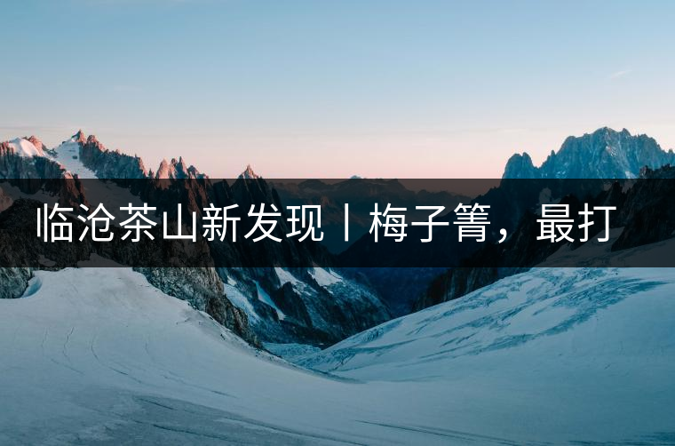 臨滄茶山新發(fā)現(xiàn)丨梅子箐，最打動自己的茶山