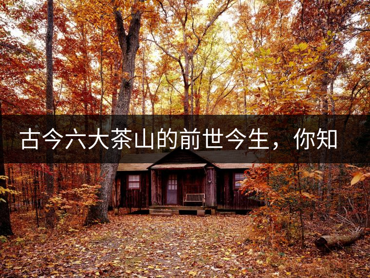 古今六大茶山的前世今生，你知多少？