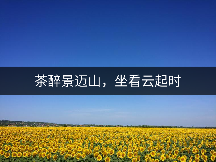 茶醉景邁山，坐看云起時(shí)