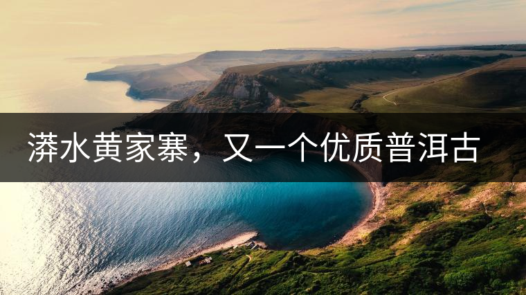 漭水黃家寨，又一個優(yōu)質普洱古樹群落