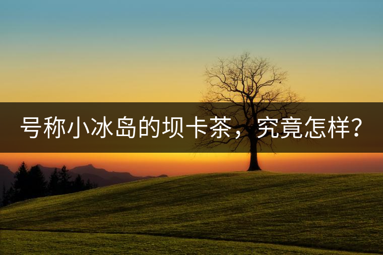 號稱小冰島的壩卡茶，究竟怎樣？