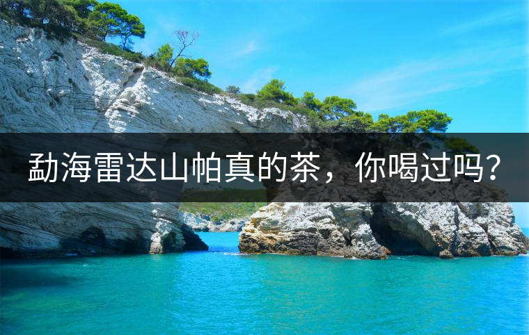 勐海雷達(dá)山帕真的茶，你喝過嗎？