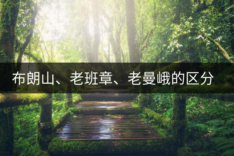 布朗山、老班章、老曼峨的區(qū)分和鑒別