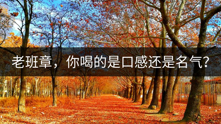 老班章，你喝的是口感還是名氣？