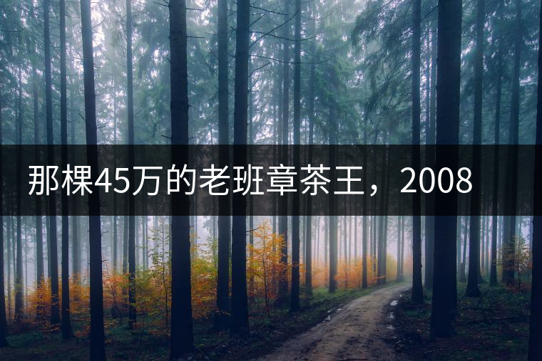 那棵45萬(wàn)的老班章茶王，2008年是什么樣子的？
