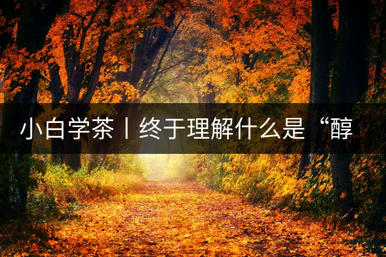 小白學(xué)茶丨終于理解什么是“醇厚、耐泡，回甘”了