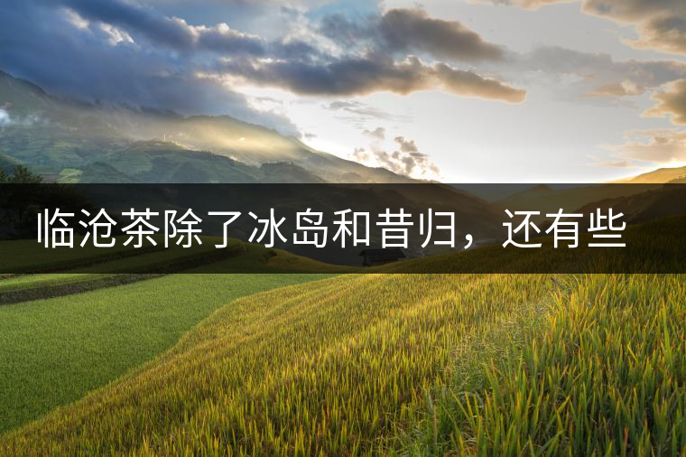 臨滄茶除了冰島和昔歸，還有些什么？