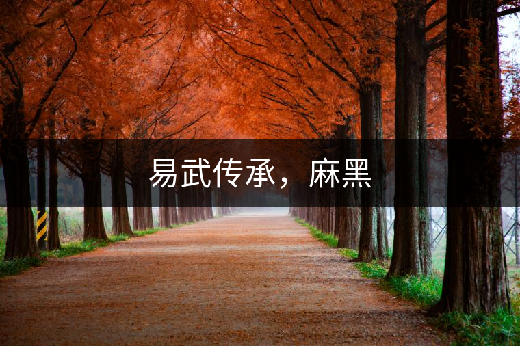 易武傳承，麻黑