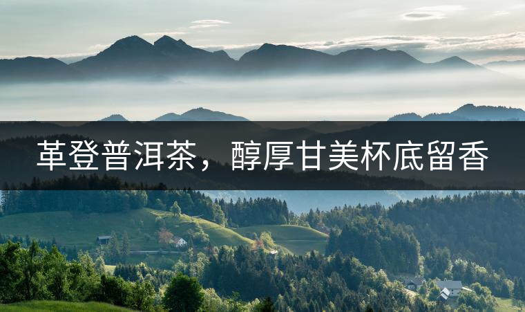 革登普洱茶，醇厚甘美杯底留香