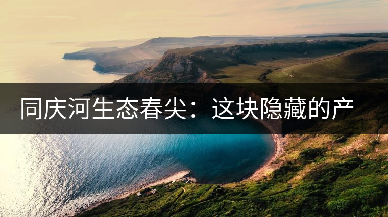 同慶河生態(tài)春尖：這塊隱藏的產(chǎn)茶圣地，你知道嗎？