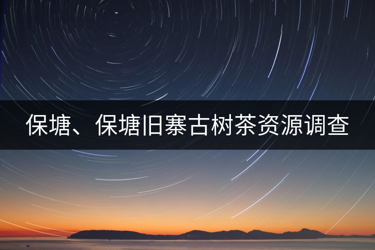 保塘、保塘舊寨古樹茶資源調(diào)查