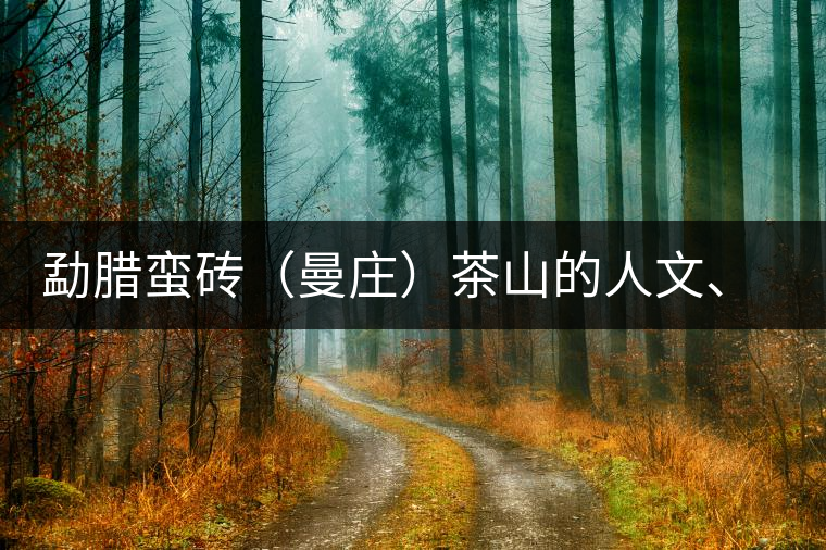 勐臘蠻磚（曼莊）茶山的人文、生態(tài)