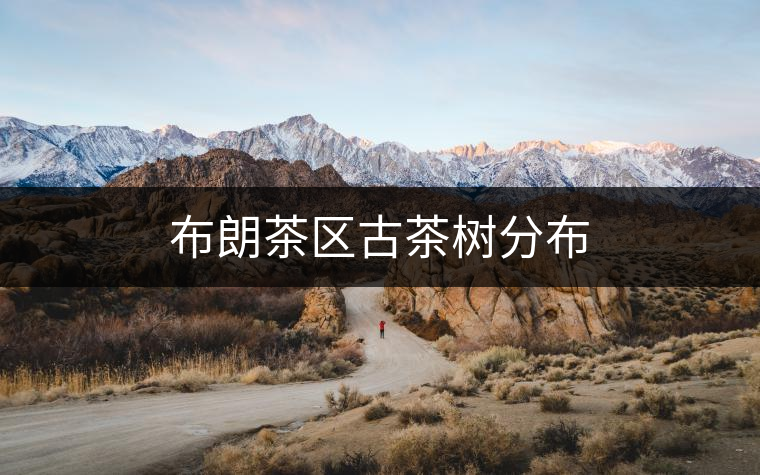 布朗茶區(qū)古茶樹分布