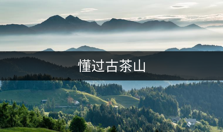懂過(guò)古茶山