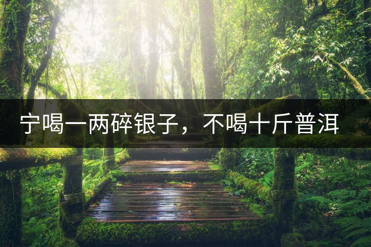 寧喝一兩碎銀子，不喝十斤普洱茶