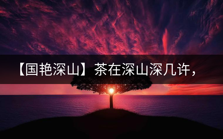 【國艷深山】茶在深山深幾許，布朗味釅釅幾分！