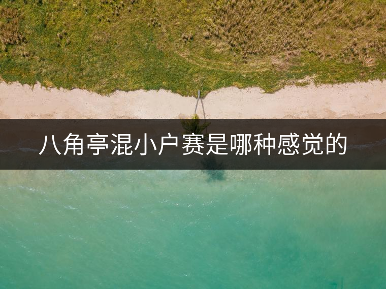 八角亭混小戶(hù)賽是哪種感覺(jué)的