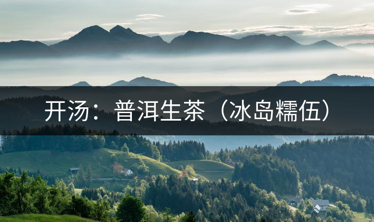 開湯：普洱生茶（冰島糯伍）