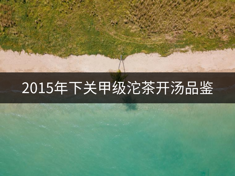 2015年下關甲級沱茶開湯品鑒