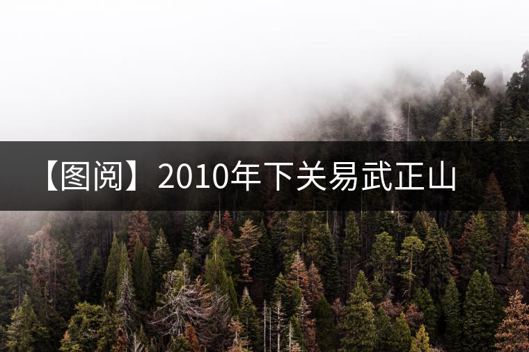 【圖閱】2010年下關(guān)易武正山老樹(shù)沱茶開(kāi)湯