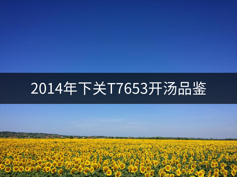 2014年下關(guān)T7653開(kāi)湯品鑒 2014年下關(guān)T7653開(kāi)湯品鑒