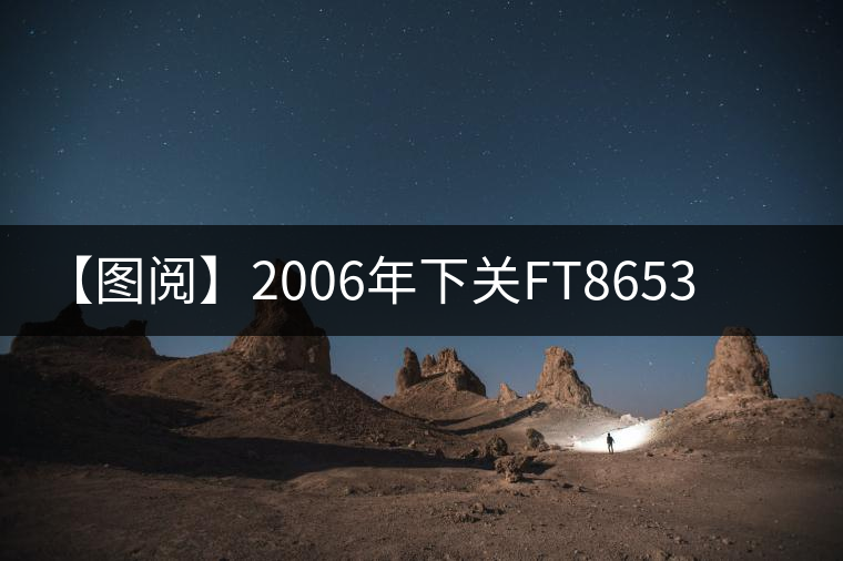 【圖閱】2006年下關FT8653鐵餅開湯