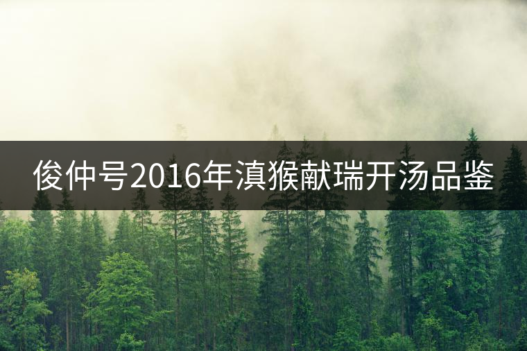 俊仲號(hào)2016年滇猴獻(xiàn)瑞開(kāi)湯品鑒 俊仲號(hào)2016年滇猴獻(xiàn)瑞開(kāi)湯品鑒