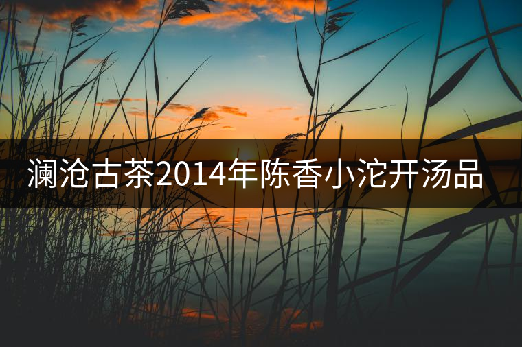 瀾滄古茶2014年陳香小沱開(kāi)湯品鑒 瀾滄古茶2014年陳香小沱開(kāi)湯品鑒