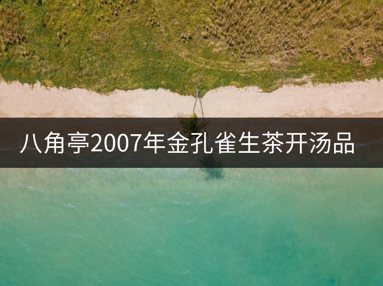 八角亭2007年金孔雀生茶開(kāi)湯品鑒 八角亭2007年金孔雀生茶開(kāi)湯品鑒