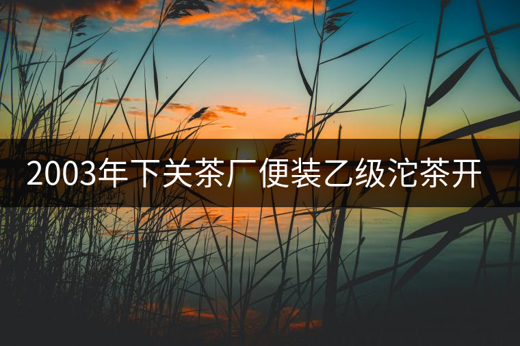 2003年下關茶廠便裝乙級沱茶開湯品鑒 2003年下關茶廠便裝乙級沱茶開湯品鑒