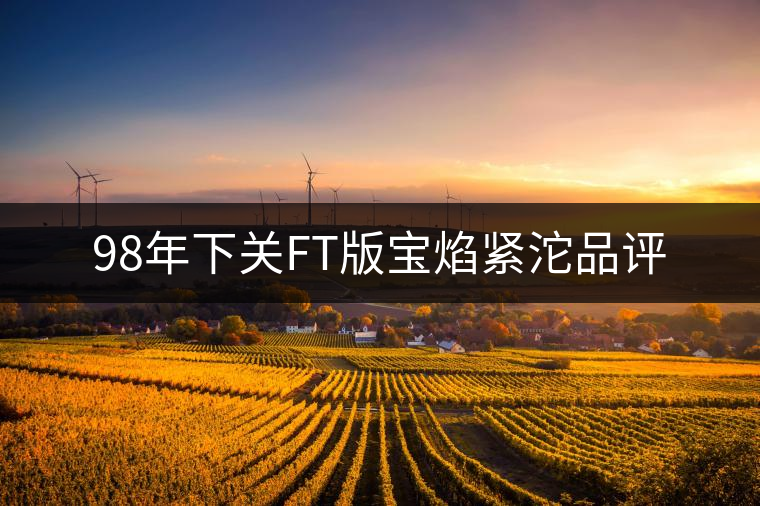 98年下關(guān)FT版寶焰緊沱品評