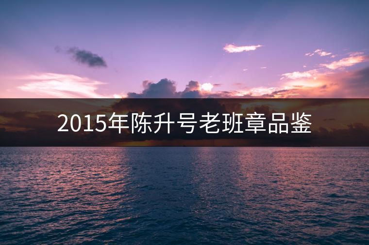 2015年陳升號(hào)老班章品鑒 2015年陳升號(hào)老班章品鑒