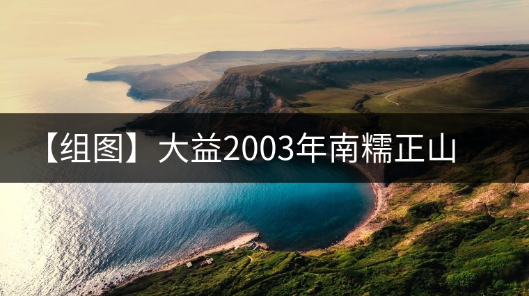 【組圖】大益2003年南糯正山餅開湯 【組圖】大益2003年南糯正山餅開湯