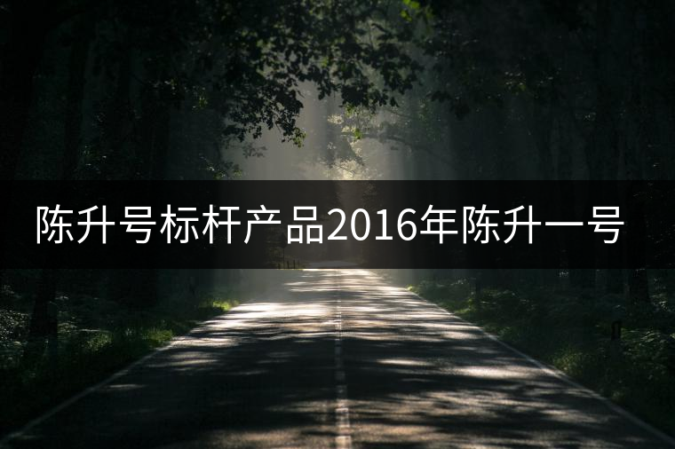 陳升號標桿產品2016年陳升一號開湯 陳升號標桿產品2016年陳升一號開湯