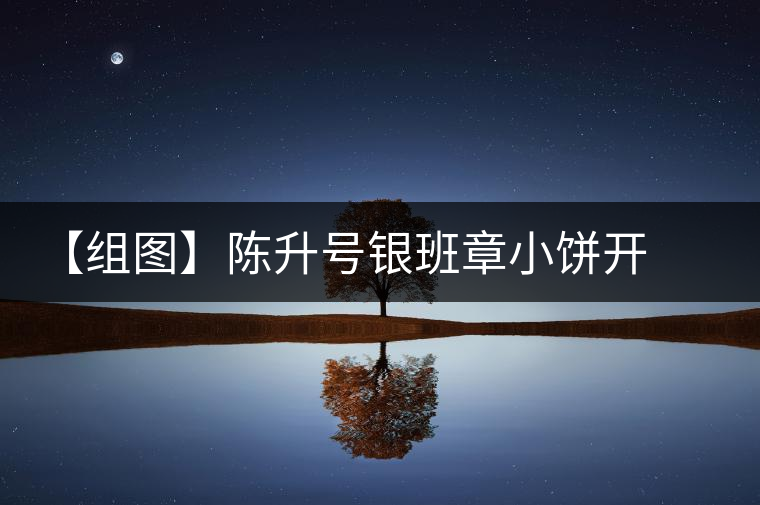 【組圖】陳升號(hào)銀班章小餅開(kāi)湯