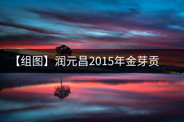 【組圖】潤(rùn)元昌2015年金芽貢餅開湯