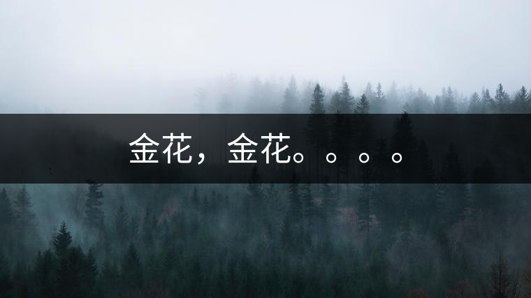 金花，金花。。。。
