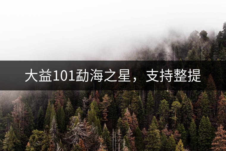 大益101勐海之星，支持整提