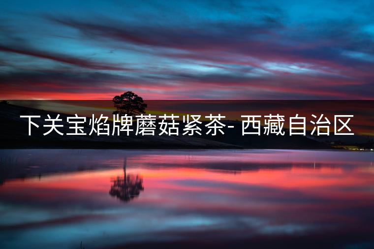 下關(guān)寶焰牌蘑菇緊茶- 西藏自治區(qū)成立40周年紀念