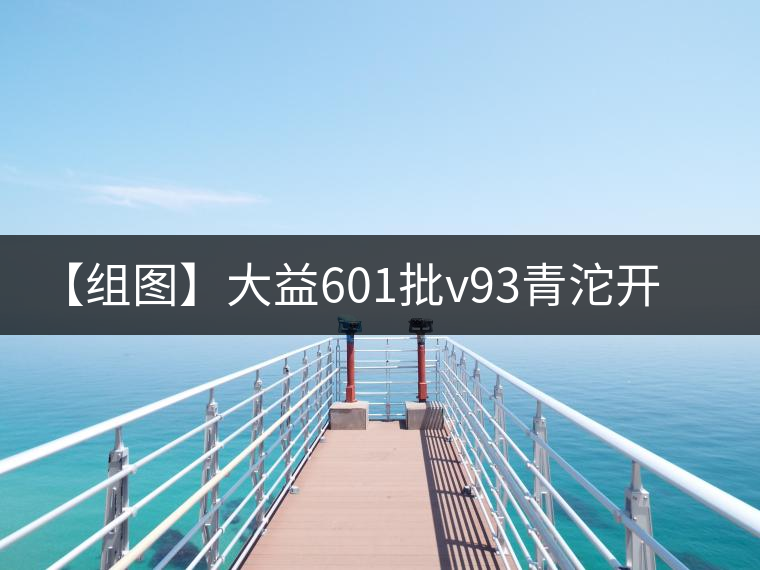 【組圖】大益601批v93青沱開湯 【組圖】大益601批v93青沱開湯